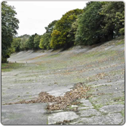 Brooklands Museum